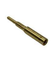 22VFG_0002 22VFG_0002